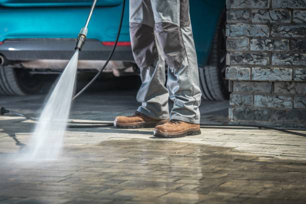 Professional Pressure Washing Services in East Renton Highlands, WA